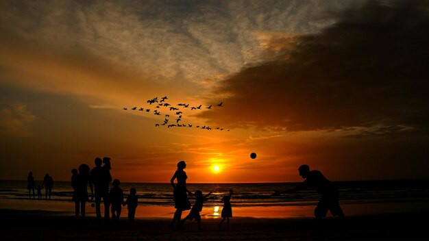 Night Singing Birds in Florida